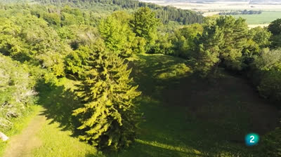 El bosque protector - Impacto Ambiental - Bosques de la guerra