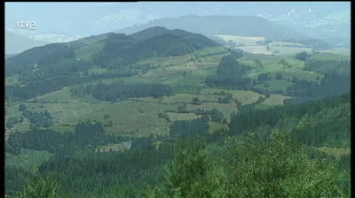 El bosque protector - Impacto Ambiental - Cambio climático y su influencia en los bosques españoles