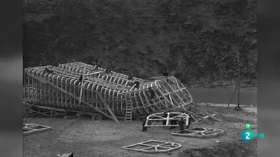 El bosque protector - Impacto Ambiental - Líneas eléctricas y bosque