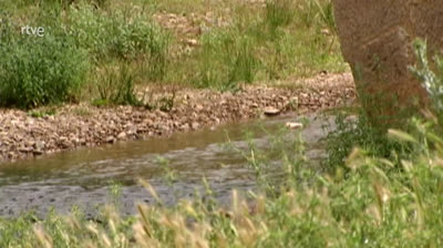 El bosque protector - La restauración de la cuenca del río Jiloca