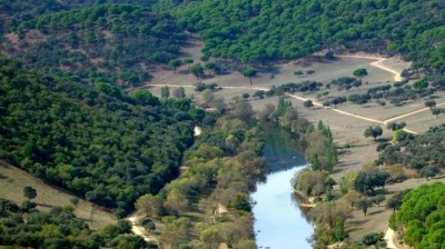 El bosque protector - Restauración del hábitat