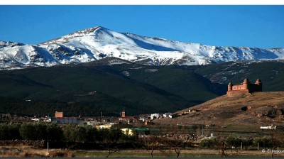 El bosque protector - Restauración forestal. El Marquesado de Zenete